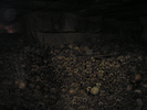 p008.jpg