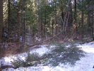 p09.jpg