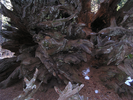 p25.jpg