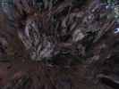 p34.jpg