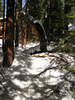 p05.jpg