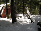 p09.jpg