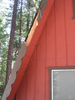 p36.jpg