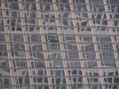 p116.jpg