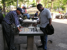 p088.jpg