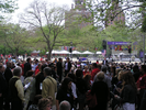 p006.jpg