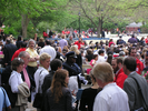 p009.jpg