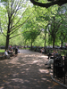 p014.jpg