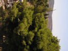 p022.jpg