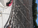 p061.jpg
