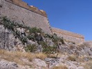 p004.jpg