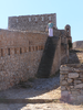 p008.jpg