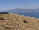 p013.jpg