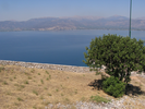 p015.jpg
