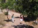 p030.jpg
