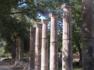 p013.jpg