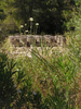 p034.jpg