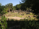 p036.jpg