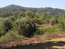 p062.jpg