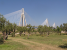 p012.jpg