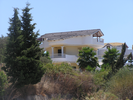 p003.jpg
