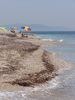 p022.jpg