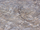 p023.jpg