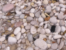 p032.jpg