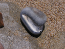 p040.jpg