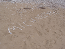 p052.jpg