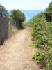 p055.jpg