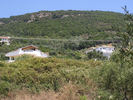 p057.jpg