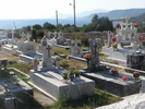 p071.jpg