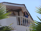 p003.jpg