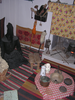 p025.jpg