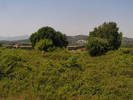 p071.jpg