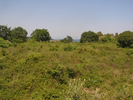 p072.jpg