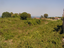 p073.jpg