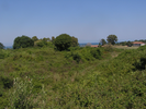 p075.jpg