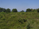 p076.jpg