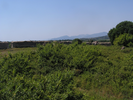 p079.jpg