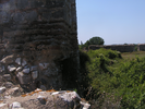 p081.jpg
