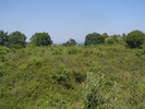 p085.jpg