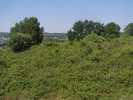 p086.jpg