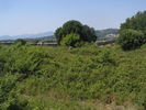 p087.jpg