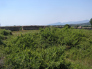 p088.jpg