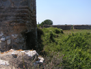 p089.jpg