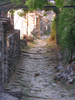 p010.jpg