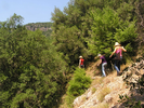 p013.jpg