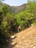 p015.jpg